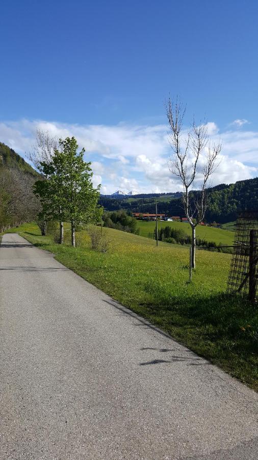 Fewo Friado Im Ferienpark Oa - Ohne Zusatzkosten Nach Anreise - Mit Hallenbad, W-Lan, Pkw-Garage, Kurtaxe Mit Allgaeu-Walser-Pass, Bett- Und Handtuch-Waesche Sowie End-Reinigung มิสเซน-วิลฮามส์ ภายนอก รูปภาพ