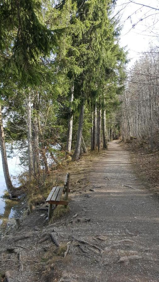 Fewo Friado Im Ferienpark Oa - Ohne Zusatzkosten Nach Anreise - Mit Hallenbad, W-Lan, Pkw-Garage, Kurtaxe Mit Allgaeu-Walser-Pass, Bett- Und Handtuch-Waesche Sowie End-Reinigung มิสเซน-วิลฮามส์ ภายนอก รูปภาพ