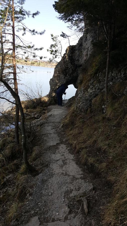Fewo Friado Im Ferienpark Oa - Ohne Zusatzkosten Nach Anreise - Mit Hallenbad, W-Lan, Pkw-Garage, Kurtaxe Mit Allgaeu-Walser-Pass, Bett- Und Handtuch-Waesche Sowie End-Reinigung มิสเซน-วิลฮามส์ ภายนอก รูปภาพ